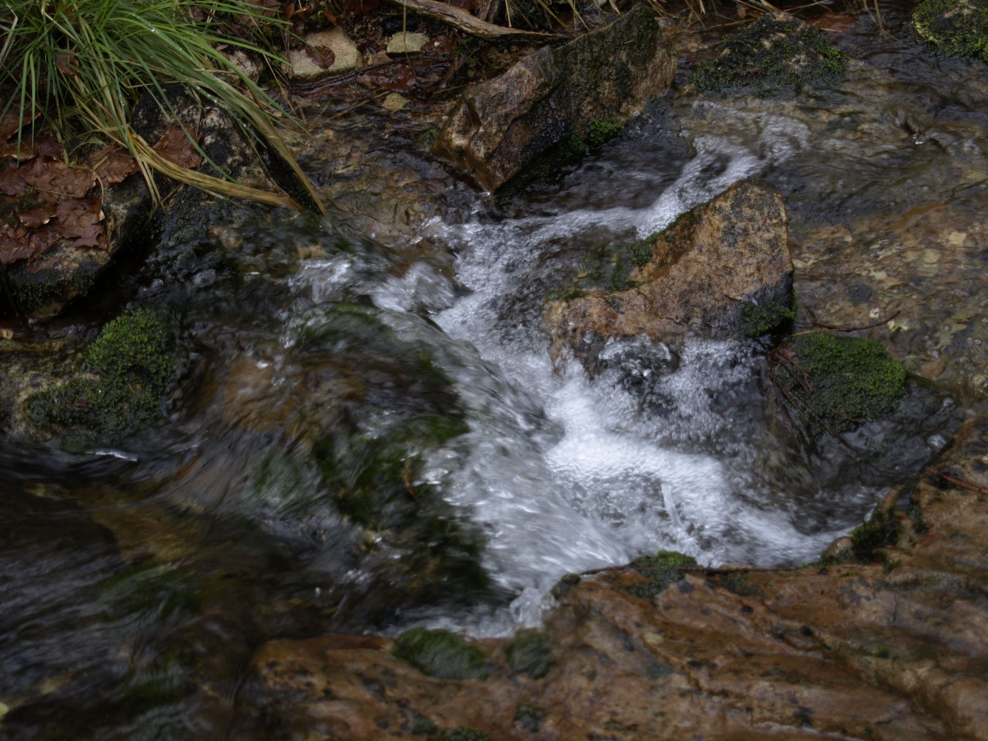 Ihre Stimme in der Natur